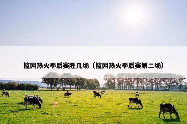 篮网热火季后赛胜几场（篮网热火季后赛第二场）
