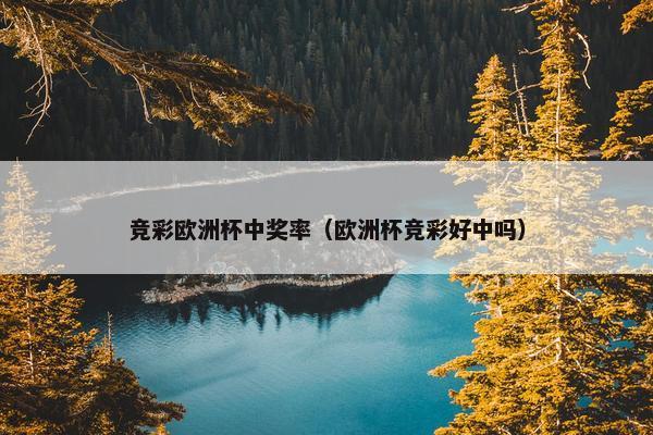 竞彩欧洲杯中奖率（欧洲杯竞彩好中吗）