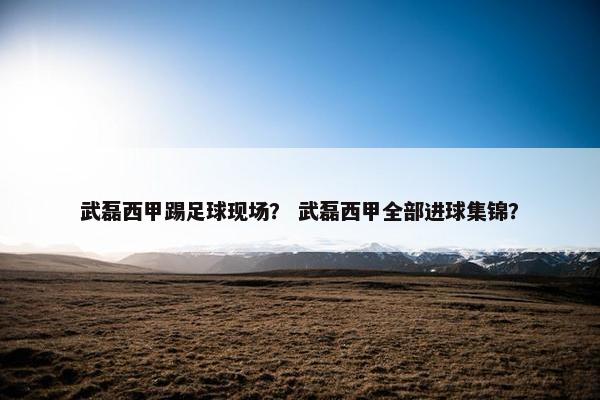 武磊西甲踢足球现场？ 武磊西甲全部进球集锦？