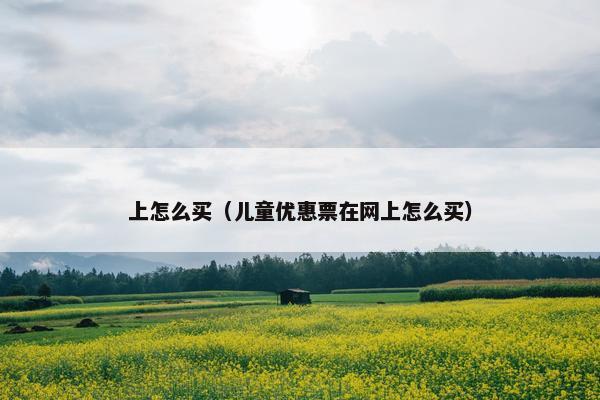 上怎么买（儿童优惠票在网上怎么买）