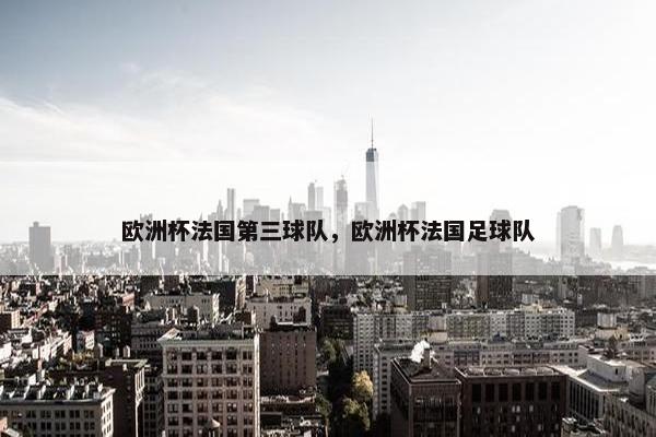 欧洲杯法国第三球队，欧洲杯法国足球队