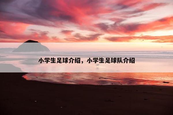 小学生足球介绍，小学生足球队介绍