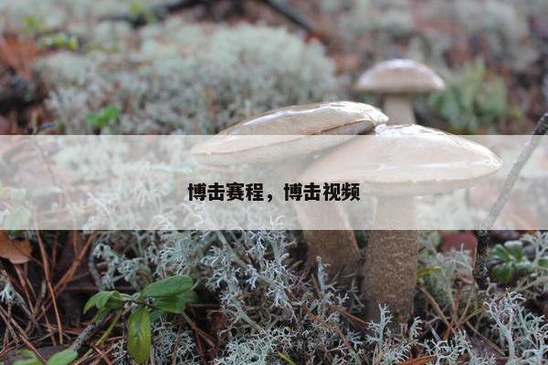 博击赛程，博击视频