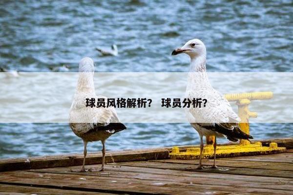 球员风格解析？ 球员分析？