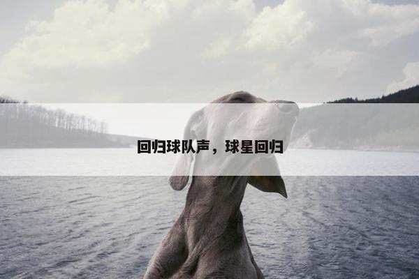 回归球队声，球星回归
