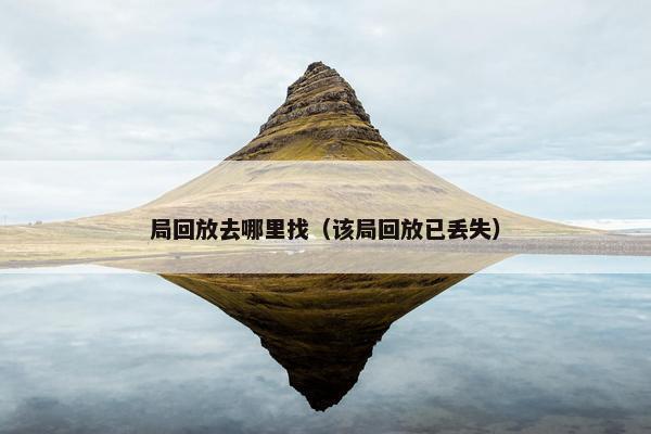 局回放去哪里找（该局回放已丢失）