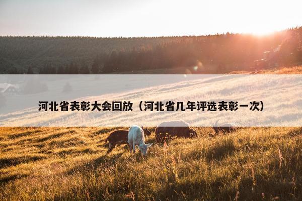 河北省表彰大会回放（河北省几年评选表彰一次）