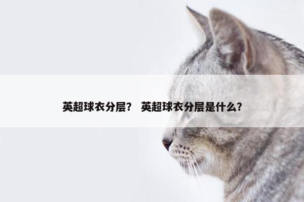 英超球衣分层？ 英超球衣分层是什么？