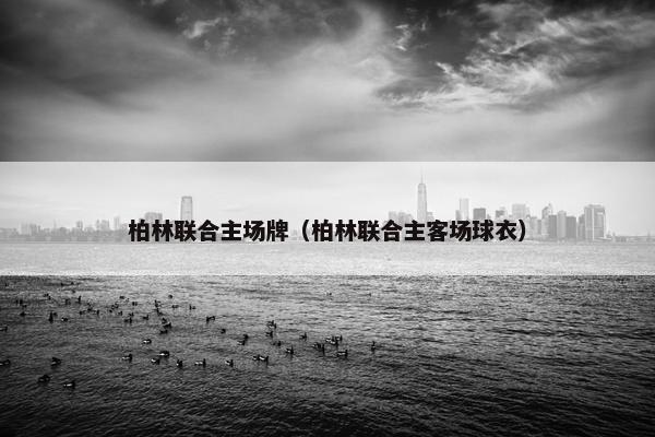 柏林联合主场牌（柏林联合主客场球衣）