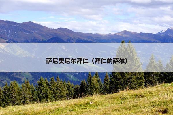 萨尼奥尼尔拜仁（拜仁的萨尔）
