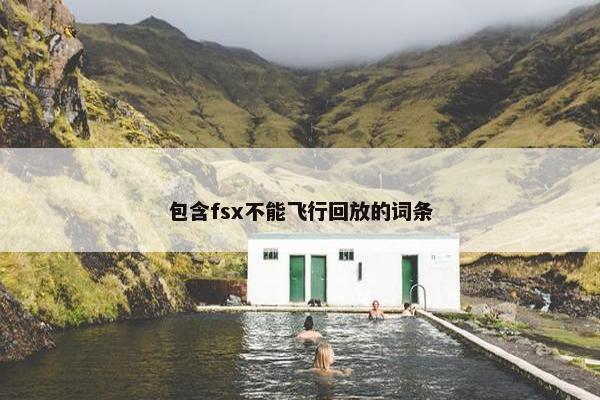 包含fsx不能飞行回放的词条