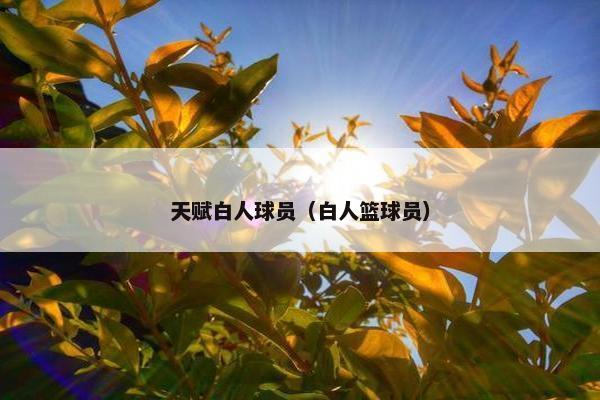 天赋白人球员（白人篮球员）