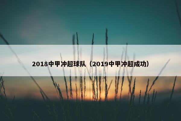 2018中甲冲超球队（2019中甲冲超成功）