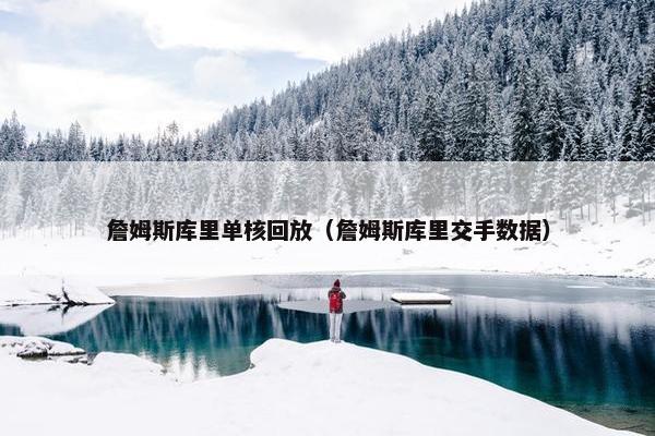 詹姆斯库里单核回放（詹姆斯库里交手数据）