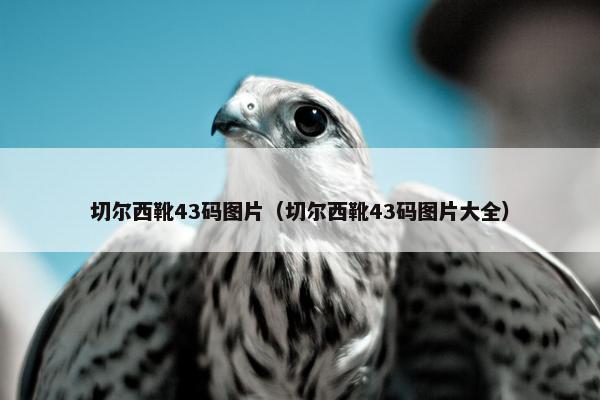 切尔西靴43码图片（切尔西靴43码图片大全）