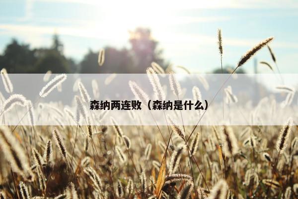 森纳两连败（森纳是什么）