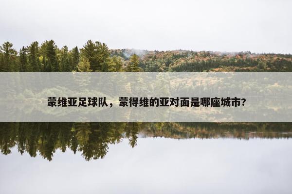 蒙维亚足球队，蒙得维的亚对面是哪座城市?