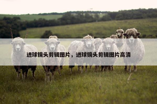 进球镜头剪辑图片，进球镜头剪辑图片高清