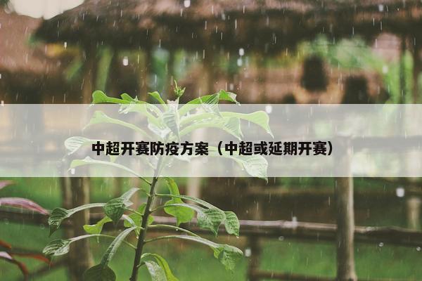 中超开赛防疫方案（中超或延期开赛）