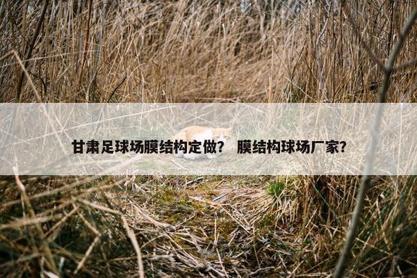 甘肃足球场膜结构定做？ 膜结构球场厂家？