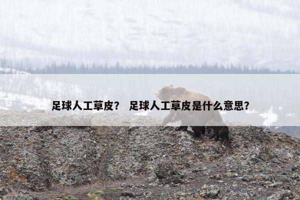 足球人工草皮？ 足球人工草皮是什么意思？