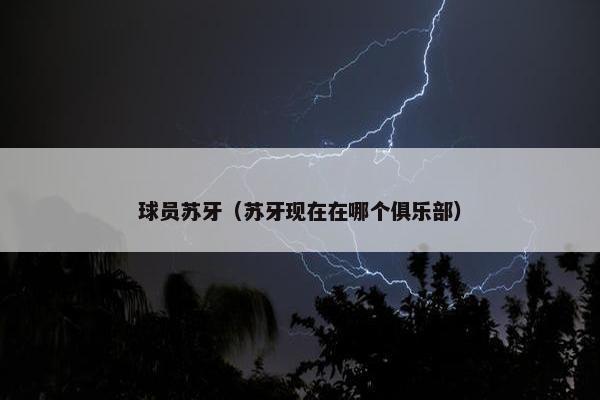 球员苏牙（苏牙现在在哪个俱乐部）