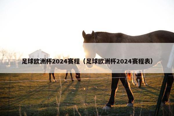 足球欧洲杯2024赛程（足球欧洲杯2024赛程表）