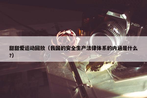 甜甜爱运动回放（我国的安全生产法律体系的内涵是什么?）