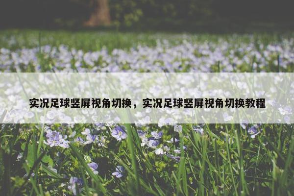 实况足球竖屏视角切换，实况足球竖屏视角切换教程