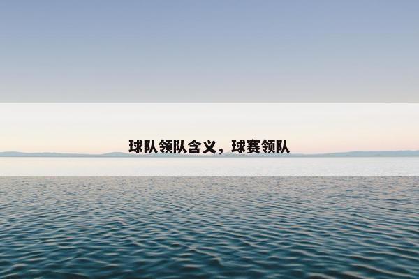 球队领队含义，球赛领队
