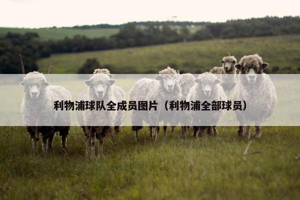 利物浦球队全成员图片（利物浦全部球员）