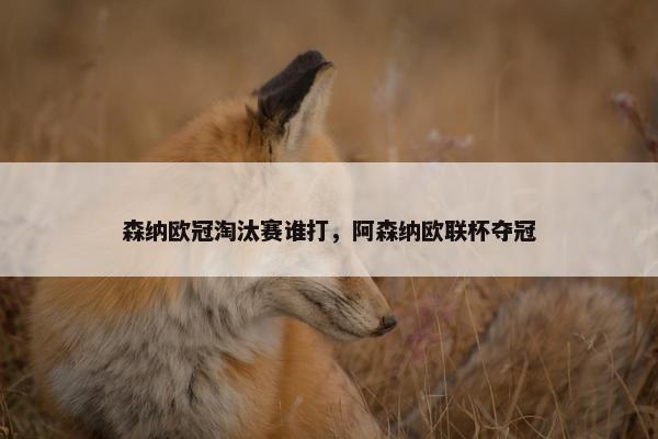 森纳欧冠淘汰赛谁打，阿森纳欧联杯夺冠