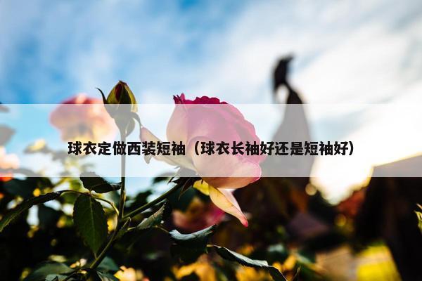 球衣定做西装短袖（球衣长袖好还是短袖好）