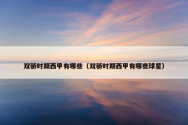 双骄时期西甲有哪些（双骄时期西甲有哪些球星）