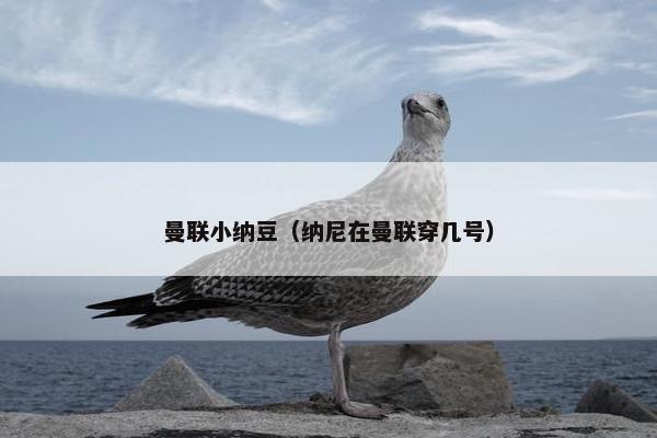 曼联小纳豆（纳尼在曼联穿几号）