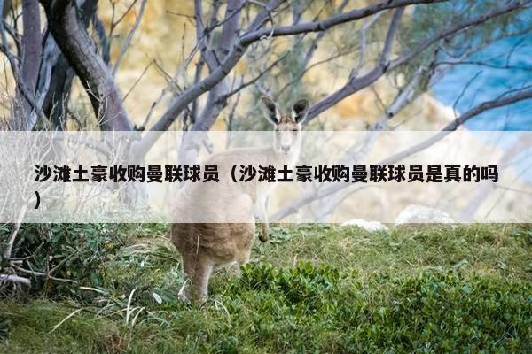 沙滩土豪收购曼联球员（沙滩土豪收购曼联球员是真的吗）
