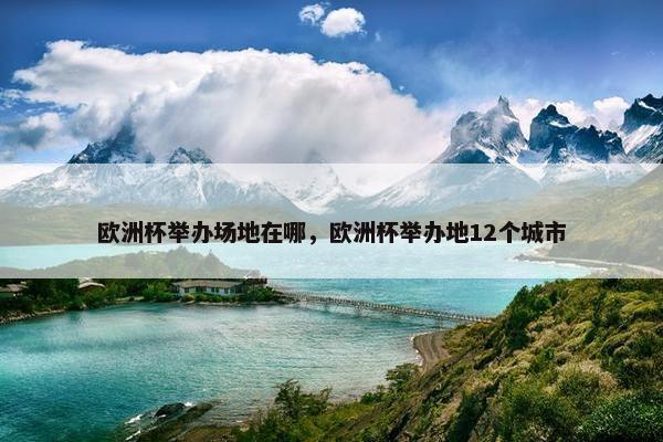 欧洲杯举办场地在哪，欧洲杯举办地12个城市