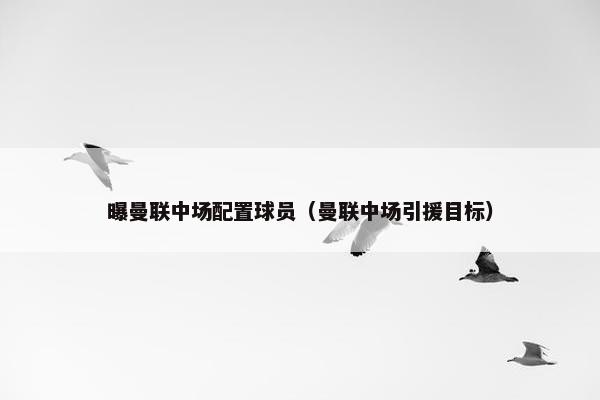 曝曼联中场配置球员（曼联中场引援目标）
