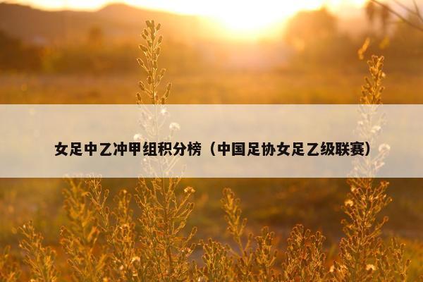 女足中乙冲甲组积分榜（中国足协女足乙级联赛）