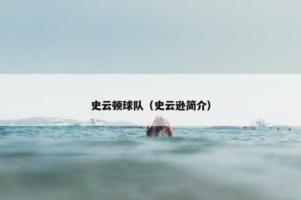 史云顿球队（史云逊简介）
