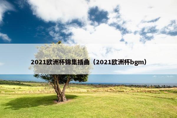 2021欧洲杯锦集插曲（2021欧洲杯bgm）