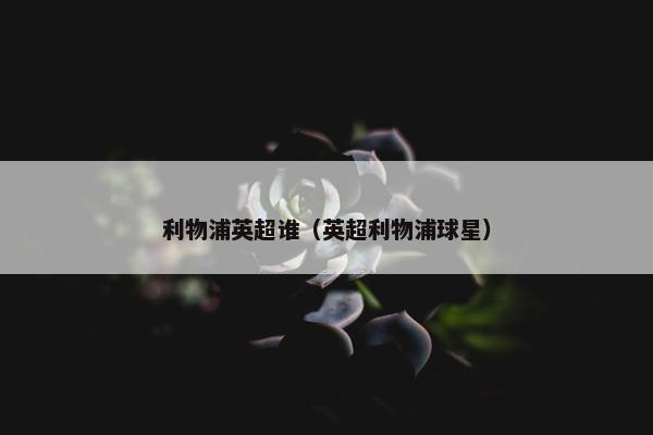 利物浦英超谁（英超利物浦球星）