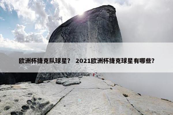 欧洲杯捷克队球星？ 2021欧洲杯捷克球星有哪些？