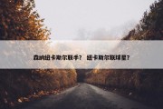 森纳纽卡斯尔联手？ 纽卡斯尔联球星？