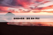 曼联国米赛果（曼联 国米 转会）