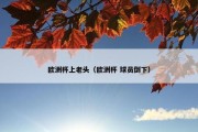 欧洲杯上老头（欧洲杯 球员倒下）