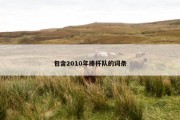 包含2010年捧杯队的词条