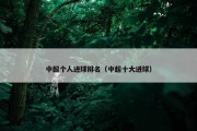 中超个人进球排名（中超十大进球）