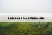中超最贵外援踢疯（中超最贵外援踢疯的球员）