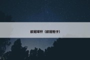 欧冠球杆（欧冠柜子）